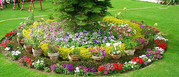 flower bed design