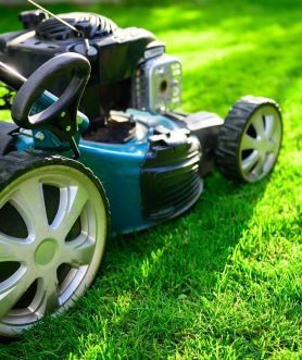 GettyImages-11796389901-scaled